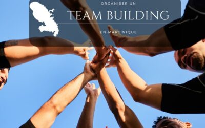 Organiser un Team Building en Martinique : Conseils et Idées