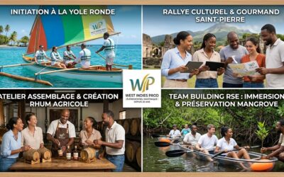 Top 5 des Idées de Team Building Inédites en Martinique